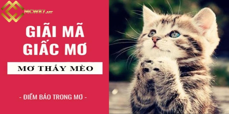 Nằm mơ thấy mèo báo hiệu điều gì? Đánh số mấy dễ trúng 6 Các trường hợp ngủ mơ thấy mèo đặc biệt