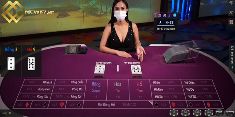 Rồng hổ online - Làm thế nào để chơi game hiệu quả nhất? 2 Những loại hình cược được dùng trong Rồng hổ