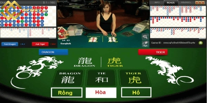 Rồng hổ online - Làm thế nào để chơi game hiệu quả nhất? 4 Những thuật ngữ thường dùng trong rồng hổ